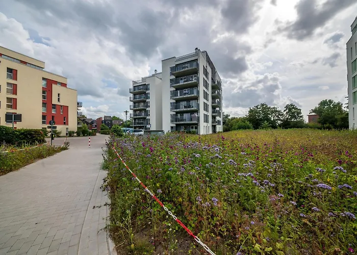 Nordseeresort Friesland Ferienhaeuser Nordseeresort Friesland 50-3-s *